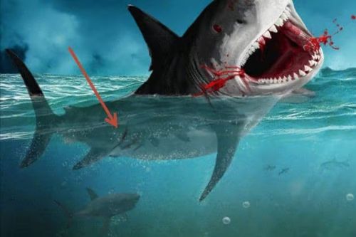 آموزش طراحی صحنه شکار کوسه در فتوشاپ